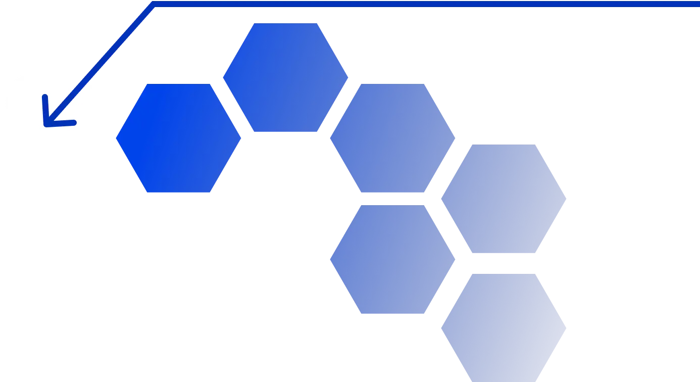 Software company in Rohtak, Haryana