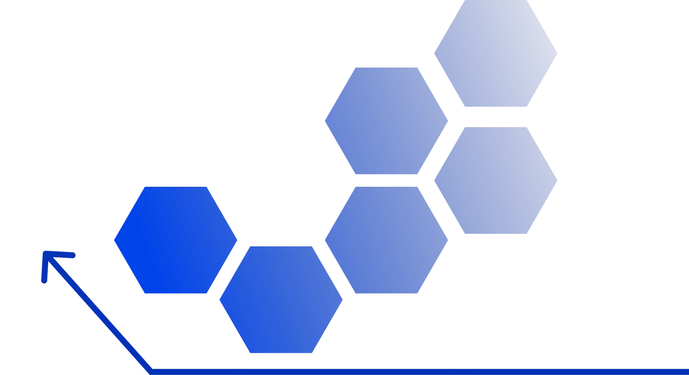 Software company in Rohtak, Haryana